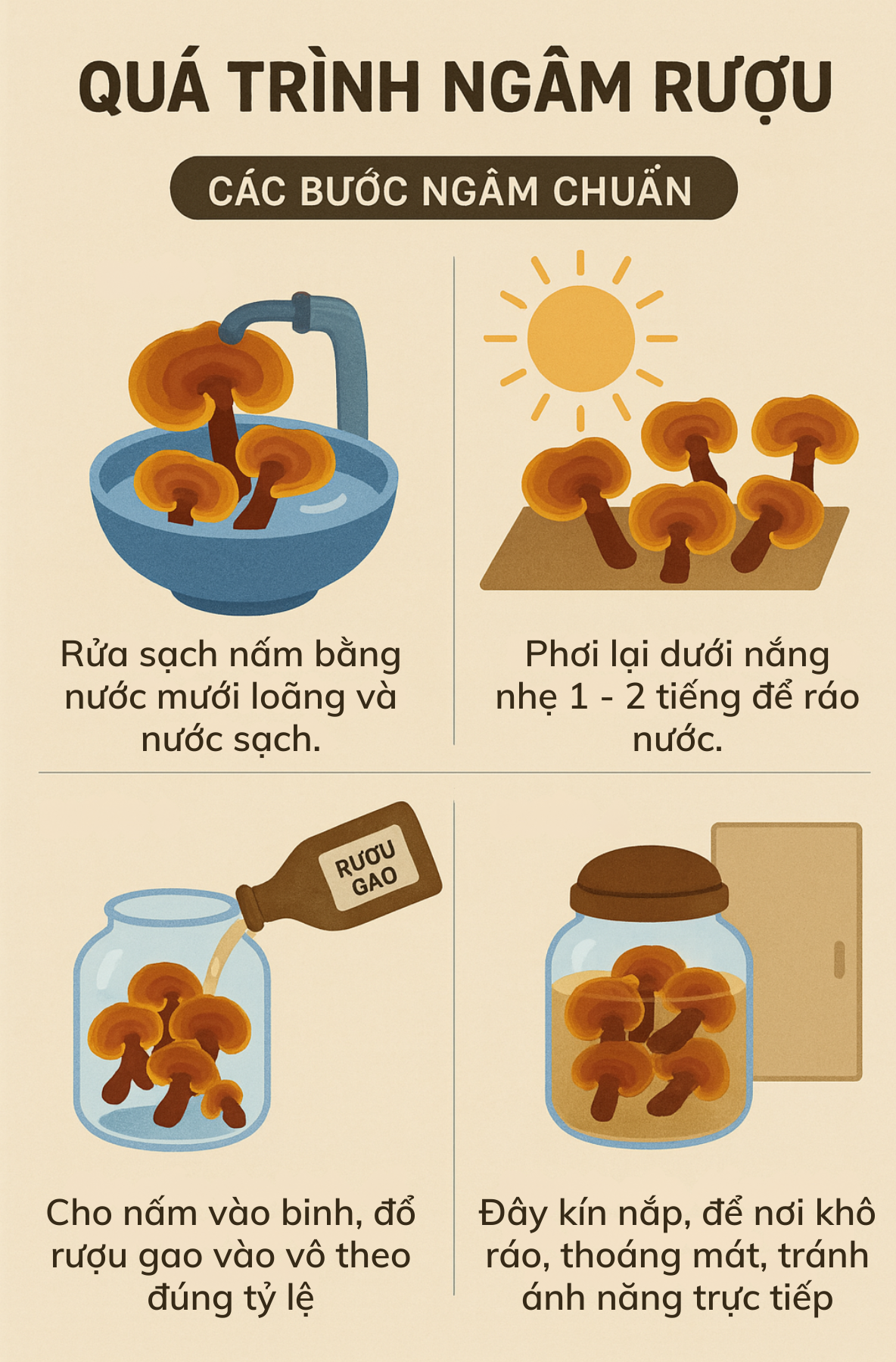 Nấm Lim Xanh ngâm rượu có tác dụng gì